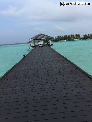 [P05] Ponton » foto by Ynna
 - 
<span class="allrVoted glyphicon glyphicon-heart hidden" id="av654678"></span>
<a class="m-l-10 hidden" id="sv654678" onclick="voting_Foto_DelVot(,654678,1589)" role="button">șterge vot <span class="glyphicon glyphicon-remove"></span></a>
<a id="v9654678" class=" c-red"  onclick="voting_Foto_SetVot(654678)" role="button"><span class="glyphicon glyphicon-heart-empty"></span> <b>LIKE</b> = Votează poza</a> <img class="hidden"  id="f654678W9" src="/imagini/loader.gif" border="0" /><span class="AjErrMes hidden" id="e654678ErM"></span>