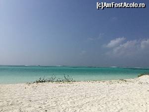 [P08]  -- <small>// FĂRĂ DESCRIERE</small> » foto by Ynna
 - 
<span class="allrVoted glyphicon glyphicon-heart hidden" id="av654681"></span>
<a class="m-l-10 hidden" id="sv654681" onclick="voting_Foto_DelVot(,654681,1589)" role="button">șterge vot <span class="glyphicon glyphicon-remove"></span></a>
<a id="v9654681" class=" c-red"  onclick="voting_Foto_SetVot(654681)" role="button"><span class="glyphicon glyphicon-heart-empty"></span> <b>LIKE</b> = Votează poza</a> <img class="hidden"  id="f654681W9" src="/imagini/loader.gif" border="0" /><span class="AjErrMes hidden" id="e654681ErM"></span>