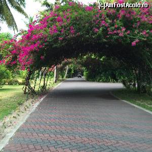 [P09]  -- <small>// FĂRĂ DESCRIERE</small> » foto by Ynna
 - 
<span class="allrVoted glyphicon glyphicon-heart hidden" id="av654682"></span>
<a class="m-l-10 hidden" id="sv654682" onclick="voting_Foto_DelVot(,654682,1589)" role="button">șterge vot <span class="glyphicon glyphicon-remove"></span></a>
<a id="v9654682" class=" c-red"  onclick="voting_Foto_SetVot(654682)" role="button"><span class="glyphicon glyphicon-heart-empty"></span> <b>LIKE</b> = Votează poza</a> <img class="hidden"  id="f654682W9" src="/imagini/loader.gif" border="0" /><span class="AjErrMes hidden" id="e654682ErM"></span>