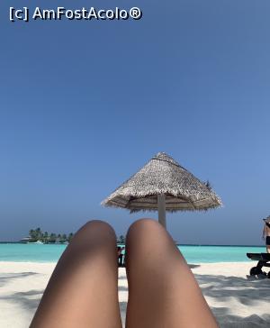 [P02]  -- <small>// FĂRĂ DESCRIERE</small> » foto by Pucca
 - 
<span class="allrVoted glyphicon glyphicon-heart hidden" id="av1054017"></span>
<a class="m-l-10 hidden" id="sv1054017" onclick="voting_Foto_DelVot(,1054017,1589)" role="button">șterge vot <span class="glyphicon glyphicon-remove"></span></a>
<a id="v91054017" class=" c-red"  onclick="voting_Foto_SetVot(1054017)" role="button"><span class="glyphicon glyphicon-heart-empty"></span> <b>LIKE</b> = Votează poza</a> <img class="hidden"  id="f1054017W9" src="/imagini/loader.gif" border="0" /><span class="AjErrMes hidden" id="e1054017ErM"></span>