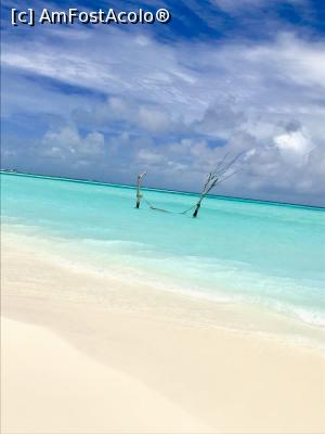 [P01]  -- <small>// FĂRĂ DESCRIERE</small> » foto by U95153
 - 
<span class="allrVoted glyphicon glyphicon-heart hidden" id="av1017230"></span>
<a class="m-l-10 hidden" id="sv1017230" onclick="voting_Foto_DelVot(,1017230,1589)" role="button">șterge vot <span class="glyphicon glyphicon-remove"></span></a>
<a id="v91017230" class=" c-red"  onclick="voting_Foto_SetVot(1017230)" role="button"><span class="glyphicon glyphicon-heart-empty"></span> <b>LIKE</b> = Votează poza</a> <img class="hidden"  id="f1017230W9" src="/imagini/loader.gif" border="0" /><span class="AjErrMes hidden" id="e1017230ErM"></span>