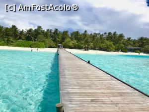 [P02] Intrarea pe isula » foto by U95153
 - 
<span class="allrVoted glyphicon glyphicon-heart hidden" id="av1017231"></span>
<a class="m-l-10 hidden" id="sv1017231" onclick="voting_Foto_DelVot(,1017231,1589)" role="button">șterge vot <span class="glyphicon glyphicon-remove"></span></a>
<a id="v91017231" class=" c-red"  onclick="voting_Foto_SetVot(1017231)" role="button"><span class="glyphicon glyphicon-heart-empty"></span> <b>LIKE</b> = Votează poza</a> <img class="hidden"  id="f1017231W9" src="/imagini/loader.gif" border="0" /><span class="AjErrMes hidden" id="e1017231ErM"></span>