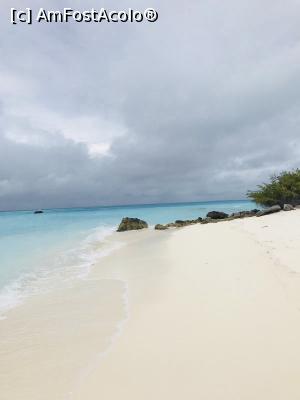 [P03]  -- <small>// FĂRĂ DESCRIERE</small> » foto by U95153
 - 
<span class="allrVoted glyphicon glyphicon-heart hidden" id="av1017232"></span>
<a class="m-l-10 hidden" id="sv1017232" onclick="voting_Foto_DelVot(,1017232,1589)" role="button">șterge vot <span class="glyphicon glyphicon-remove"></span></a>
<a id="v91017232" class=" c-red"  onclick="voting_Foto_SetVot(1017232)" role="button"><span class="glyphicon glyphicon-heart-empty"></span> <b>LIKE</b> = Votează poza</a> <img class="hidden"  id="f1017232W9" src="/imagini/loader.gif" border="0" /><span class="AjErrMes hidden" id="e1017232ErM"></span>