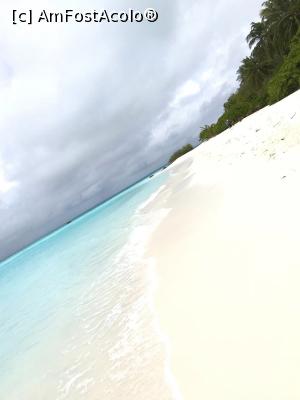 [P05]  -- <small>// FĂRĂ DESCRIERE</small> » foto by U95153
 - 
<span class="allrVoted glyphicon glyphicon-heart hidden" id="av1017234"></span>
<a class="m-l-10 hidden" id="sv1017234" onclick="voting_Foto_DelVot(,1017234,1589)" role="button">șterge vot <span class="glyphicon glyphicon-remove"></span></a>
<a id="v91017234" class=" c-red"  onclick="voting_Foto_SetVot(1017234)" role="button"><span class="glyphicon glyphicon-heart-empty"></span> <b>LIKE</b> = Votează poza</a> <img class="hidden"  id="f1017234W9" src="/imagini/loader.gif" border="0" /><span class="AjErrMes hidden" id="e1017234ErM"></span>