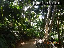 [P33] Rezervatia Vallee de Mai » foto by Delia1313
 - 
<span class="allrVoted glyphicon glyphicon-heart hidden" id="av327176"></span>
<a class="m-l-10 hidden" id="sv327176" onclick="voting_Foto_DelVot(,327176,1613)" role="button">șterge vot <span class="glyphicon glyphicon-remove"></span></a>
<a id="v9327176" class=" c-red"  onclick="voting_Foto_SetVot(327176)" role="button"><span class="glyphicon glyphicon-heart-empty"></span> <b>LIKE</b> = Votează poza</a> <img class="hidden"  id="f327176W9" src="/imagini/loader.gif" border="0" /><span class="AjErrMes hidden" id="e327176ErM"></span>