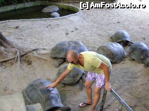 [P02] testoasele uriase. acestea le-am vazut la gradina botanica » foto by SSD si SMB*
 - 
<span class="allrVoted glyphicon glyphicon-heart hidden" id="av483656"></span>
<a class="m-l-10 hidden" id="sv483656" onclick="voting_Foto_DelVot(,483656,1613)" role="button">șterge vot <span class="glyphicon glyphicon-remove"></span></a>
<a id="v9483656" class=" c-red"  onclick="voting_Foto_SetVot(483656)" role="button"><span class="glyphicon glyphicon-heart-empty"></span> <b>LIKE</b> = Votează poza</a> <img class="hidden"  id="f483656W9" src="/imagini/loader.gif" border="0" /><span class="AjErrMes hidden" id="e483656ErM"></span>