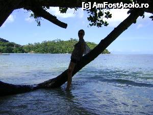 [P03] in Seychelles nu ai nevoie de umbrela pentru soare » foto by SSD si SMB*
 - 
<span class="allrVoted glyphicon glyphicon-heart hidden" id="av483657"></span>
<a class="m-l-10 hidden" id="sv483657" onclick="voting_Foto_DelVot(,483657,1613)" role="button">șterge vot <span class="glyphicon glyphicon-remove"></span></a>
<a id="v9483657" class=" c-red"  onclick="voting_Foto_SetVot(483657)" role="button"><span class="glyphicon glyphicon-heart-empty"></span> <b>LIKE</b> = Votează poza</a> <img class="hidden"  id="f483657W9" src="/imagini/loader.gif" border="0" /><span class="AjErrMes hidden" id="e483657ErM"></span>