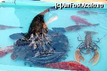 [P53]  -- <small>// FĂRĂ DESCRIERE</small> » foto by maxIC
 - 
<span class="allrVoted glyphicon glyphicon-heart hidden" id="av334205"></span>
<a class="m-l-10 hidden" id="sv334205" onclick="voting_Foto_DelVot(,334205,1628)" role="button">șterge vot <span class="glyphicon glyphicon-remove"></span></a>
<a id="v9334205" class=" c-red"  onclick="voting_Foto_SetVot(334205)" role="button"><span class="glyphicon glyphicon-heart-empty"></span> <b>LIKE</b> = Votează poza</a> <img class="hidden"  id="f334205W9" src="/imagini/loader.gif" border="0" /><span class="AjErrMes hidden" id="e334205ErM"></span>