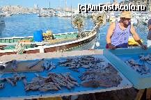 [P54]  -- <small>// FĂRĂ DESCRIERE</small> » foto by maxIC
 - 
<span class="allrVoted glyphicon glyphicon-heart hidden" id="av334206"></span>
<a class="m-l-10 hidden" id="sv334206" onclick="voting_Foto_DelVot(,334206,1628)" role="button">șterge vot <span class="glyphicon glyphicon-remove"></span></a>
<a id="v9334206" class=" c-red"  onclick="voting_Foto_SetVot(334206)" role="button"><span class="glyphicon glyphicon-heart-empty"></span> <b>LIKE</b> = Votează poza</a> <img class="hidden"  id="f334206W9" src="/imagini/loader.gif" border="0" /><span class="AjErrMes hidden" id="e334206ErM"></span>