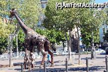 [P57]  -- <small>// FĂRĂ DESCRIERE</small> » foto by maxIC
 - 
<span class="allrVoted glyphicon glyphicon-heart hidden" id="av334209"></span>
<a class="m-l-10 hidden" id="sv334209" onclick="voting_Foto_DelVot(,334209,1628)" role="button">șterge vot <span class="glyphicon glyphicon-remove"></span></a>
<a id="v9334209" class=" c-red"  onclick="voting_Foto_SetVot(334209)" role="button"><span class="glyphicon glyphicon-heart-empty"></span> <b>LIKE</b> = Votează poza</a> <img class="hidden"  id="f334209W9" src="/imagini/loader.gif" border="0" /><span class="AjErrMes hidden" id="e334209ErM"></span>