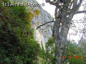 [P35] biserica Saint Marie-Magdaleine » foto by Yolanda
 - 
<span class="allrVoted glyphicon glyphicon-heart hidden" id="av1503584"></span>
<a class="m-l-10 hidden" id="sv1503584" onclick="voting_Foto_DelVot(,1503584,1628)" role="button">șterge vot <span class="glyphicon glyphicon-remove"></span></a>
<a id="v91503584" class=" c-red"  onclick="voting_Foto_SetVot(1503584)" role="button"><span class="glyphicon glyphicon-heart-empty"></span> <b>LIKE</b> = Votează poza</a> <img class="hidden"  id="f1503584W9" src="/imagini/loader.gif" border="0" /><span class="AjErrMes hidden" id="e1503584ErM"></span>