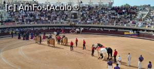 [P10] prezentarea în arena » foto by Yolanda
 - 
<span class="allrVoted glyphicon glyphicon-heart hidden" id="av1544017"></span>
<a class="m-l-10 hidden" id="sv1544017" onclick="voting_Foto_DelVot(,1544017,1628)" role="button">șterge vot <span class="glyphicon glyphicon-remove"></span></a>
<a id="v91544017" class=" c-red"  onclick="voting_Foto_SetVot(1544017)" role="button"><span class="glyphicon glyphicon-heart-empty"></span> <b>LIKE</b> = Votează poza</a> <img class="hidden"  id="f1544017W9" src="/imagini/loader.gif" border="0" /><span class="AjErrMes hidden" id="e1544017ErM"></span>