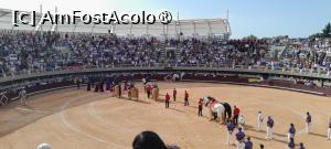[P11] prezentarea în arena » foto by Yolanda
 - 
<span class="allrVoted glyphicon glyphicon-heart hidden" id="av1544018"></span>
<a class="m-l-10 hidden" id="sv1544018" onclick="voting_Foto_DelVot(,1544018,1628)" role="button">șterge vot <span class="glyphicon glyphicon-remove"></span></a>
<a id="v91544018" class=" c-red"  onclick="voting_Foto_SetVot(1544018)" role="button"><span class="glyphicon glyphicon-heart-empty"></span> <b>LIKE</b> = Votează poza</a> <img class="hidden"  id="f1544018W9" src="/imagini/loader.gif" border="0" /><span class="AjErrMes hidden" id="e1544018ErM"></span>