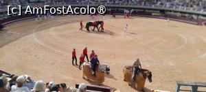 [P12] prezentarea în arena » foto by Yolanda
 - 
<span class="allrVoted glyphicon glyphicon-heart hidden" id="av1544019"></span>
<a class="m-l-10 hidden" id="sv1544019" onclick="voting_Foto_DelVot(,1544019,1628)" role="button">șterge vot <span class="glyphicon glyphicon-remove"></span></a>
<a id="v91544019" class=" c-red"  onclick="voting_Foto_SetVot(1544019)" role="button"><span class="glyphicon glyphicon-heart-empty"></span> <b>LIKE</b> = Votează poza</a> <img class="hidden"  id="f1544019W9" src="/imagini/loader.gif" border="0" /><span class="AjErrMes hidden" id="e1544019ErM"></span>