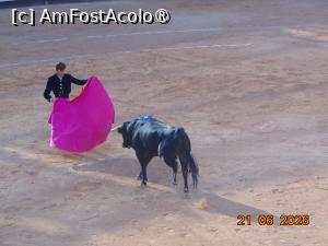 [P42] arta de a lupta,Sébastien Castella » foto by Yolanda
 - 
<span class="allrVoted glyphicon glyphicon-heart hidden" id="av1544049"></span>
<a class="m-l-10 hidden" id="sv1544049" onclick="voting_Foto_DelVot(,1544049,1628)" role="button">șterge vot <span class="glyphicon glyphicon-remove"></span></a>
<a id="v91544049" class=" c-red"  onclick="voting_Foto_SetVot(1544049)" role="button"><span class="glyphicon glyphicon-heart-empty"></span> <b>LIKE</b> = Votează poza</a> <img class="hidden"  id="f1544049W9" src="/imagini/loader.gif" border="0" /><span class="AjErrMes hidden" id="e1544049ErM"></span>