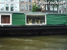 [P06]  -- <small>// FĂRĂ DESCRIERE</small> » foto by trigri
 - 
<span class="allrVoted glyphicon glyphicon-heart hidden" id="av261176"></span>
<a class="m-l-10 hidden" id="sv261176" onclick="voting_Foto_DelVot(,261176,1639)" role="button">șterge vot <span class="glyphicon glyphicon-remove"></span></a>
<a id="v9261176" class=" c-red"  onclick="voting_Foto_SetVot(261176)" role="button"><span class="glyphicon glyphicon-heart-empty"></span> <b>LIKE</b> = Votează poza</a> <img class="hidden"  id="f261176W9" src="/imagini/loader.gif" border="0" /><span class="AjErrMes hidden" id="e261176ErM"></span>