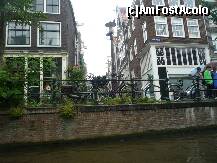 [P08]  -- <small>// FĂRĂ DESCRIERE</small> » foto by trigri
 - 
<span class="allrVoted glyphicon glyphicon-heart hidden" id="av261183"></span>
<a class="m-l-10 hidden" id="sv261183" onclick="voting_Foto_DelVot(,261183,1639)" role="button">șterge vot <span class="glyphicon glyphicon-remove"></span></a>
<a id="v9261183" class=" c-red"  onclick="voting_Foto_SetVot(261183)" role="button"><span class="glyphicon glyphicon-heart-empty"></span> <b>LIKE</b> = Votează poza</a> <img class="hidden"  id="f261183W9" src="/imagini/loader.gif" border="0" /><span class="AjErrMes hidden" id="e261183ErM"></span>