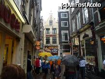 [P09]  -- <small>// FĂRĂ DESCRIERE</small> » foto by trigri
 - 
<span class="allrVoted glyphicon glyphicon-heart hidden" id="av261189"></span>
<a class="m-l-10 hidden" id="sv261189" onclick="voting_Foto_DelVot(,261189,1639)" role="button">șterge vot <span class="glyphicon glyphicon-remove"></span></a>
<a id="v9261189" class=" c-red"  onclick="voting_Foto_SetVot(261189)" role="button"><span class="glyphicon glyphicon-heart-empty"></span> <b>LIKE</b> = Votează poza</a> <img class="hidden"  id="f261189W9" src="/imagini/loader.gif" border="0" /><span class="AjErrMes hidden" id="e261189ErM"></span>