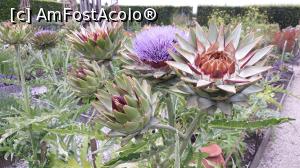 [P25]  -- <small>// FĂRĂ DESCRIERE</small> » foto by mireille
 - 
<span class="allrVoted glyphicon glyphicon-heart hidden" id="av1143583"></span>
<a class="m-l-10 hidden" id="sv1143583" onclick="voting_Foto_DelVot(,1143583,1639)" role="button">șterge vot <span class="glyphicon glyphicon-remove"></span></a>
<a id="v91143583" class=" c-red"  onclick="voting_Foto_SetVot(1143583)" role="button"><span class="glyphicon glyphicon-heart-empty"></span> <b>LIKE</b> = Votează poza</a> <img class="hidden"  id="f1143583W9" src="/imagini/loader.gif" border="0" /><span class="AjErrMes hidden" id="e1143583ErM"></span>