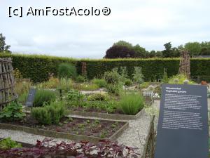 [P36] Gradina cu legume » foto by mireille
 - 
<span class="allrVoted glyphicon glyphicon-heart hidden" id="av1143594"></span>
<a class="m-l-10 hidden" id="sv1143594" onclick="voting_Foto_DelVot(,1143594,1639)" role="button">șterge vot <span class="glyphicon glyphicon-remove"></span></a>
<a id="v91143594" class=" c-red"  onclick="voting_Foto_SetVot(1143594)" role="button"><span class="glyphicon glyphicon-heart-empty"></span> <b>LIKE</b> = Votează poza</a> <img class="hidden"  id="f1143594W9" src="/imagini/loader.gif" border="0" /><span class="AjErrMes hidden" id="e1143594ErM"></span>