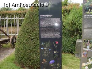 [P38]  -- <small>// FĂRĂ DESCRIERE</small> » foto by mireille
 - 
<span class="allrVoted glyphicon glyphicon-heart hidden" id="av1143596"></span>
<a class="m-l-10 hidden" id="sv1143596" onclick="voting_Foto_DelVot(,1143596,1639)" role="button">șterge vot <span class="glyphicon glyphicon-remove"></span></a>
<a id="v91143596" class=" c-red"  onclick="voting_Foto_SetVot(1143596)" role="button"><span class="glyphicon glyphicon-heart-empty"></span> <b>LIKE</b> = Votează poza</a> <img class="hidden"  id="f1143596W9" src="/imagini/loader.gif" border="0" /><span class="AjErrMes hidden" id="e1143596ErM"></span>