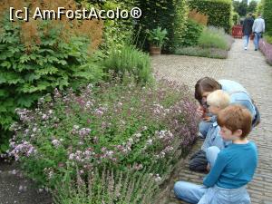 [P39]  -- <small>// FĂRĂ DESCRIERE</small> » foto by mireille
 - 
<span class="allrVoted glyphicon glyphicon-heart hidden" id="av1143597"></span>
<a class="m-l-10 hidden" id="sv1143597" onclick="voting_Foto_DelVot(,1143597,1639)" role="button">șterge vot <span class="glyphicon glyphicon-remove"></span></a>
<a id="v91143597" class=" c-red"  onclick="voting_Foto_SetVot(1143597)" role="button"><span class="glyphicon glyphicon-heart-empty"></span> <b>LIKE</b> = Votează poza</a> <img class="hidden"  id="f1143597W9" src="/imagini/loader.gif" border="0" /><span class="AjErrMes hidden" id="e1143597ErM"></span>