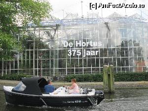 [P24] Grădina Botanică, Amsterdam » foto by krondia*
 - 
<span class="allrVoted glyphicon glyphicon-heart hidden" id="av533244"></span>
<a class="m-l-10 hidden" id="sv533244" onclick="voting_Foto_DelVot(,533244,1639)" role="button">șterge vot <span class="glyphicon glyphicon-remove"></span></a>
<a id="v9533244" class=" c-red"  onclick="voting_Foto_SetVot(533244)" role="button"><span class="glyphicon glyphicon-heart-empty"></span> <b>LIKE</b> = Votează poza</a> <img class="hidden"  id="f533244W9" src="/imagini/loader.gif" border="0" /><span class="AjErrMes hidden" id="e533244ErM"></span>