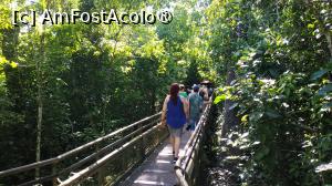 [P23] Iguazu - partea argentiniană » foto by elenaadina
 - 
<span class="allrVoted glyphicon glyphicon-heart hidden" id="av1517717"></span>
<a class="m-l-10 hidden" id="sv1517717" onclick="voting_Foto_DelVot(,1517717,1653)" role="button">șterge vot <span class="glyphicon glyphicon-remove"></span></a>
<a id="v91517717" class=" c-red"  onclick="voting_Foto_SetVot(1517717)" role="button"><span class="glyphicon glyphicon-heart-empty"></span> <b>LIKE</b> = Votează poza</a> <img class="hidden"  id="f1517717W9" src="/imagini/loader.gif" border="0" /><span class="AjErrMes hidden" id="e1517717ErM"></span>