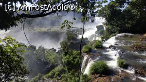 [P42]  -- <small>// FĂRĂ DESCRIERE</small> » foto by elenaadina
 - 
<span class="allrVoted glyphicon glyphicon-heart hidden" id="av1517736"></span>
<a class="m-l-10 hidden" id="sv1517736" onclick="voting_Foto_DelVot(,1517736,1653)" role="button">șterge vot <span class="glyphicon glyphicon-remove"></span></a>
<a id="v91517736" class=" c-red"  onclick="voting_Foto_SetVot(1517736)" role="button"><span class="glyphicon glyphicon-heart-empty"></span> <b>LIKE</b> = Votează poza</a> <img class="hidden"  id="f1517736W9" src="/imagini/loader.gif" border="0" /><span class="AjErrMes hidden" id="e1517736ErM"></span>