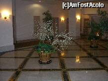 [P04] Holul pe unde ajungeam in camera noastra » foto by micheline
 - 
<span class="allrVoted glyphicon glyphicon-heart hidden" id="av146330"></span>
<a class="m-l-10 hidden" id="sv146330" onclick="voting_Foto_DelVot(,146330,1683)" role="button">șterge vot <span class="glyphicon glyphicon-remove"></span></a>
<a id="v9146330" class=" c-red"  onclick="voting_Foto_SetVot(146330)" role="button"><span class="glyphicon glyphicon-heart-empty"></span> <b>LIKE</b> = Votează poza</a> <img class="hidden"  id="f146330W9" src="/imagini/loader.gif" border="0" /><span class="AjErrMes hidden" id="e146330ErM"></span>