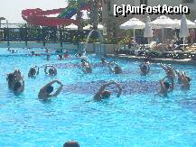 [P09] Distractia la piscina. » foto by micheline
 - 
<span class="allrVoted glyphicon glyphicon-heart hidden" id="av146336"></span>
<a class="m-l-10 hidden" id="sv146336" onclick="voting_Foto_DelVot(,146336,1683)" role="button">șterge vot <span class="glyphicon glyphicon-remove"></span></a>
<a id="v9146336" class=" c-red"  onclick="voting_Foto_SetVot(146336)" role="button"><span class="glyphicon glyphicon-heart-empty"></span> <b>LIKE</b> = Votează poza</a> <img class="hidden"  id="f146336W9" src="/imagini/loader.gif" border="0" /><span class="AjErrMes hidden" id="e146336ErM"></span>