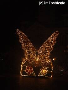 [P21] Totul era feeric noaptea, din nefericire,  aparatul foto nu prea facea fata, iar fotograful era prea ocupat cu ce vedea :) » foto by DoreD
 - 
<span class="allrVoted glyphicon glyphicon-heart hidden" id="av248641"></span>
<a class="m-l-10 hidden" id="sv248641" onclick="voting_Foto_DelVot(,248641,1684)" role="button">șterge vot <span class="glyphicon glyphicon-remove"></span></a>
<a id="v9248641" class=" c-red"  onclick="voting_Foto_SetVot(248641)" role="button"><span class="glyphicon glyphicon-heart-empty"></span> <b>LIKE</b> = Votează poza</a> <img class="hidden"  id="f248641W9" src="/imagini/loader.gif" border="0" /><span class="AjErrMes hidden" id="e248641ErM"></span>