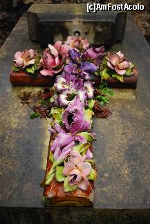 [P15]  -- <small>// FĂRĂ DESCRIERE</small> » foto by Dan Sova
 - 
<span class="allrVoted glyphicon glyphicon-heart hidden" id="av194475"></span>
<a class="m-l-10 hidden" id="sv194475" onclick="voting_Foto_DelVot(,194475,1684)" role="button">șterge vot <span class="glyphicon glyphicon-remove"></span></a>
<a id="v9194475" class=" c-red"  onclick="voting_Foto_SetVot(194475)" role="button"><span class="glyphicon glyphicon-heart-empty"></span> <b>LIKE</b> = Votează poza</a> <img class="hidden"  id="f194475W9" src="/imagini/loader.gif" border="0" /><span class="AjErrMes hidden" id="e194475ErM"></span>