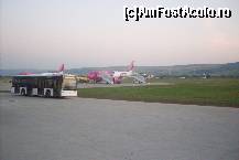 [P01] El ne-a dus... » foto by Ovidiu istorie
 - 
<span class="allrVoted glyphicon glyphicon-heart hidden" id="av316114"></span>
<a class="m-l-10 hidden" id="sv316114" onclick="voting_Foto_DelVot(,316114,1684)" role="button">șterge vot <span class="glyphicon glyphicon-remove"></span></a>
<a id="v9316114" class=" c-red"  onclick="voting_Foto_SetVot(316114)" role="button"><span class="glyphicon glyphicon-heart-empty"></span> <b>LIKE</b> = Votează poza</a> <img class="hidden"  id="f316114W9" src="/imagini/loader.gif" border="0" /><span class="AjErrMes hidden" id="e316114ErM"></span>