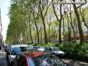 [P22] Prin Versailles.  » foto by melena
 - 
<span class="allrVoted glyphicon glyphicon-heart hidden" id="av619150"></span>
<a class="m-l-10 hidden" id="sv619150" onclick="voting_Foto_DelVot(,619150,1684)" role="button">șterge vot <span class="glyphicon glyphicon-remove"></span></a>
<a id="v9619150" class=" c-red"  onclick="voting_Foto_SetVot(619150)" role="button"><span class="glyphicon glyphicon-heart-empty"></span> <b>LIKE</b> = Votează poza</a> <img class="hidden"  id="f619150W9" src="/imagini/loader.gif" border="0" /><span class="AjErrMes hidden" id="e619150ErM"></span>