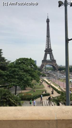 [P05]  -- <small>// FĂRĂ DESCRIERE</small> » foto by baron
 - 
<span class="allrVoted glyphicon glyphicon-heart hidden" id="av1147565"></span>
<a class="m-l-10 hidden" id="sv1147565" onclick="voting_Foto_DelVot(,1147565,1684)" role="button">șterge vot <span class="glyphicon glyphicon-remove"></span></a>
<a id="v91147565" class=" c-red"  onclick="voting_Foto_SetVot(1147565)" role="button"><span class="glyphicon glyphicon-heart-empty"></span> <b>LIKE</b> = Votează poza</a> <img class="hidden"  id="f1147565W9" src="/imagini/loader.gif" border="0" /><span class="AjErrMes hidden" id="e1147565ErM"></span>