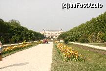 [P20] Jardin de Plants..perpectiva florala » foto by liviadavidescu
 - 
<span class="allrVoted glyphicon glyphicon-heart hidden" id="av152143"></span>
<a class="m-l-10 hidden" id="sv152143" onclick="voting_Foto_DelVot(,152143,1684)" role="button">șterge vot <span class="glyphicon glyphicon-remove"></span></a>
<a id="v9152143" class=" c-red"  onclick="voting_Foto_SetVot(152143)" role="button"><span class="glyphicon glyphicon-heart-empty"></span> <b>LIKE</b> = Votează poza</a> <img class="hidden"  id="f152143W9" src="/imagini/loader.gif" border="0" /><span class="AjErrMes hidden" id="e152143ErM"></span>