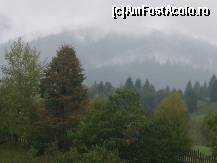[P09] Peisajul desprins din tablou,in mijlocul caruia salasluieste pensiunea 'Perla Brazilor' » foto by ghemonica
 - 
<span class="allrVoted glyphicon glyphicon-heart hidden" id="av282156"></span>
<a class="m-l-10 hidden" id="sv282156" onclick="voting_Foto_DelVot(,282156,1707)" role="button">șterge vot <span class="glyphicon glyphicon-remove"></span></a>
<a id="v9282156" class=" c-red"  onclick="voting_Foto_SetVot(282156)" role="button"><span class="glyphicon glyphicon-heart-empty"></span> <b>LIKE</b> = Votează poza</a> <img class="hidden"  id="f282156W9" src="/imagini/loader.gif" border="0" /><span class="AjErrMes hidden" id="e282156ErM"></span>