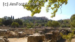 [P12] agora antica » foto by lalely
 - 
<span class="allrVoted glyphicon glyphicon-heart hidden" id="av780330"></span>
<a class="m-l-10 hidden" id="sv780330" onclick="voting_Foto_DelVot(,780330,1710)" role="button">șterge vot <span class="glyphicon glyphicon-remove"></span></a>
<a id="v9780330" class=" c-red"  onclick="voting_Foto_SetVot(780330)" role="button"><span class="glyphicon glyphicon-heart-empty"></span> <b>LIKE</b> = Votează poza</a> <img class="hidden"  id="f780330W9" src="/imagini/loader.gif" border="0" /><span class="AjErrMes hidden" id="e780330ErM"></span>