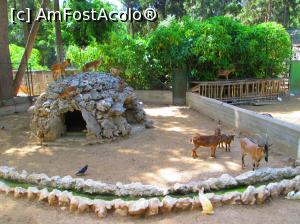 [P12] Mini gradina zoo din Gradinile Nationale.  » foto by vulpe mihaela
 - 
<span class="allrVoted glyphicon glyphicon-heart hidden" id="av754117"></span>
<a class="m-l-10 hidden" id="sv754117" onclick="voting_Foto_DelVot(,754117,1710)" role="button">șterge vot <span class="glyphicon glyphicon-remove"></span></a>
<a id="v9754117" class=" c-red"  onclick="voting_Foto_SetVot(754117)" role="button"><span class="glyphicon glyphicon-heart-empty"></span> <b>LIKE</b> = Votează poza</a> <img class="hidden"  id="f754117W9" src="/imagini/loader.gif" border="0" /><span class="AjErrMes hidden" id="e754117ErM"></span>