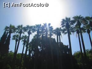 [P27] Uriasii palmieri de la intrarea in Gradinile Nationale » foto by vulpe mihaela
 - 
<span class="allrVoted glyphicon glyphicon-heart hidden" id="av755072"></span>
<a class="m-l-10 hidden" id="sv755072" onclick="voting_Foto_DelVot(,755072,1710)" role="button">șterge vot <span class="glyphicon glyphicon-remove"></span></a>
<a id="v9755072" class=" c-red"  onclick="voting_Foto_SetVot(755072)" role="button"><span class="glyphicon glyphicon-heart-empty"></span> <b>LIKE</b> = Votează poza</a> <img class="hidden"  id="f755072W9" src="/imagini/loader.gif" border="0" /><span class="AjErrMes hidden" id="e755072ErM"></span>