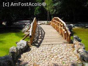 [P32] Pod de lemn peste lacul plin de ratuste (in Gradinile Nationale)  » foto by vulpe mihaela
 - 
<span class="allrVoted glyphicon glyphicon-heart hidden" id="av755077"></span>
<a class="m-l-10 hidden" id="sv755077" onclick="voting_Foto_DelVot(,755077,1710)" role="button">șterge vot <span class="glyphicon glyphicon-remove"></span></a>
<a id="v9755077" class=" c-red"  onclick="voting_Foto_SetVot(755077)" role="button"><span class="glyphicon glyphicon-heart-empty"></span> <b>LIKE</b> = Votează poza</a> <img class="hidden"  id="f755077W9" src="/imagini/loader.gif" border="0" /><span class="AjErrMes hidden" id="e755077ErM"></span>