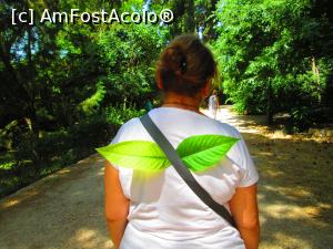 [P35] Copii mei s-au distrat si au ras un pic de mine, facandu-mi aripi :) !  » foto by vulpe mihaela
 - 
<span class="allrVoted glyphicon glyphicon-heart hidden" id="av755080"></span>
<a class="m-l-10 hidden" id="sv755080" onclick="voting_Foto_DelVot(,755080,1710)" role="button">șterge vot <span class="glyphicon glyphicon-remove"></span></a>
<a id="v9755080" class=" c-red"  onclick="voting_Foto_SetVot(755080)" role="button"><span class="glyphicon glyphicon-heart-empty"></span> <b>LIKE</b> = Votează poza</a> <img class="hidden"  id="f755080W9" src="/imagini/loader.gif" border="0" /><span class="AjErrMes hidden" id="e755080ErM"></span>