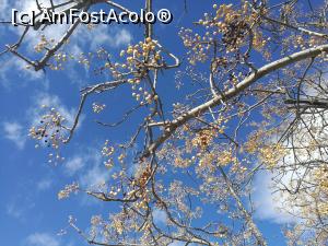 [P04] Primăvară în Atena » foto by crismis
 - 
<span class="allrVoted glyphicon glyphicon-heart hidden" id="av946459"></span>
<a class="m-l-10 hidden" id="sv946459" onclick="voting_Foto_DelVot(,946459,1710)" role="button">șterge vot <span class="glyphicon glyphicon-remove"></span></a>
<a id="v9946459" class=" c-red"  onclick="voting_Foto_SetVot(946459)" role="button"><span class="glyphicon glyphicon-heart-empty"></span> <b>LIKE</b> = Votează poza</a> <img class="hidden"  id="f946459W9" src="/imagini/loader.gif" border="0" /><span class="AjErrMes hidden" id="e946459ErM"></span>