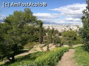 [P42] Coborând de pe Areopagus » foto by crismis
 - 
<span class="allrVoted glyphicon glyphicon-heart hidden" id="av946514"></span>
<a class="m-l-10 hidden" id="sv946514" onclick="voting_Foto_DelVot(,946514,1710)" role="button">șterge vot <span class="glyphicon glyphicon-remove"></span></a>
<a id="v9946514" class=" c-red"  onclick="voting_Foto_SetVot(946514)" role="button"><span class="glyphicon glyphicon-heart-empty"></span> <b>LIKE</b> = Votează poza</a> <img class="hidden"  id="f946514W9" src="/imagini/loader.gif" border="0" /><span class="AjErrMes hidden" id="e946514ErM"></span>