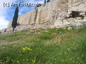 [P08] Ne bucurăm de primăvară și de... „pietroaie” » foto by crismis
 - 
<span class="allrVoted glyphicon glyphicon-heart hidden" id="av946466"></span>
<a class="m-l-10 hidden" id="sv946466" onclick="voting_Foto_DelVot(,946466,1710)" role="button">șterge vot <span class="glyphicon glyphicon-remove"></span></a>
<a id="v9946466" class=" c-red"  onclick="voting_Foto_SetVot(946466)" role="button"><span class="glyphicon glyphicon-heart-empty"></span> <b>LIKE</b> = Votează poza</a> <img class="hidden"  id="f946466W9" src="/imagini/loader.gif" border="0" /><span class="AjErrMes hidden" id="e946466ErM"></span>