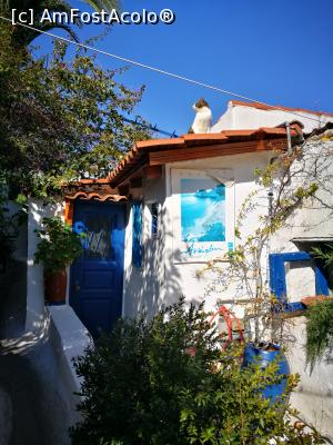 [P04] Anafiotika, „insula” din centrul Atenei » foto by crismis
 - 
<span class="allrVoted glyphicon glyphicon-heart hidden" id="av947052"></span>
<a class="m-l-10 hidden" id="sv947052" onclick="voting_Foto_DelVot(,947052,1710)" role="button">șterge vot <span class="glyphicon glyphicon-remove"></span></a>
<a id="v9947052" class=" c-red"  onclick="voting_Foto_SetVot(947052)" role="button"><span class="glyphicon glyphicon-heart-empty"></span> <b>LIKE</b> = Votează poza</a> <img class="hidden"  id="f947052W9" src="/imagini/loader.gif" border="0" /><span class="AjErrMes hidden" id="e947052ErM"></span>