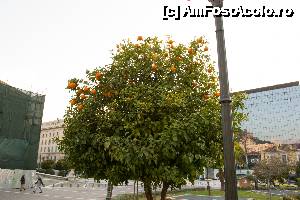 [P02]  -- <small>// FĂRĂ DESCRIERE</small> » foto by OtiliaS*
 - 
<span class="allrVoted glyphicon glyphicon-heart hidden" id="av494486"></span>
<a class="m-l-10 hidden" id="sv494486" onclick="voting_Foto_DelVot(,494486,1710)" role="button">șterge vot <span class="glyphicon glyphicon-remove"></span></a>
<a id="v9494486" class=" c-red"  onclick="voting_Foto_SetVot(494486)" role="button"><span class="glyphicon glyphicon-heart-empty"></span> <b>LIKE</b> = Votează poza</a> <img class="hidden"  id="f494486W9" src="/imagini/loader.gif" border="0" /><span class="AjErrMes hidden" id="e494486ErM"></span>