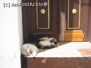 [P35] Relax... this is Greece » foto by ioana74
 - 
<span class="allrVoted glyphicon glyphicon-heart hidden" id="av722965"></span>
<a class="m-l-10 hidden" id="sv722965" onclick="voting_Foto_DelVot(,722965,1710)" role="button">șterge vot <span class="glyphicon glyphicon-remove"></span></a>
<a id="v9722965" class=" c-red"  onclick="voting_Foto_SetVot(722965)" role="button"><span class="glyphicon glyphicon-heart-empty"></span> <b>LIKE</b> = Votează poza</a> <img class="hidden"  id="f722965W9" src="/imagini/loader.gif" border="0" /><span class="AjErrMes hidden" id="e722965ErM"></span>