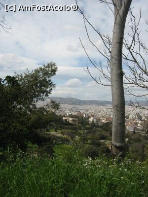 [P05] Atena vazuta de sus » foto by ioana74
 - 
<span class="allrVoted glyphicon glyphicon-heart hidden" id="av722935"></span>
<a class="m-l-10 hidden" id="sv722935" onclick="voting_Foto_DelVot(,722935,1710)" role="button">șterge vot <span class="glyphicon glyphicon-remove"></span></a>
<a id="v9722935" class=" c-red"  onclick="voting_Foto_SetVot(722935)" role="button"><span class="glyphicon glyphicon-heart-empty"></span> <b>LIKE</b> = Votează poza</a> <img class="hidden"  id="f722935W9" src="/imagini/loader.gif" border="0" /><span class="AjErrMes hidden" id="e722935ErM"></span>